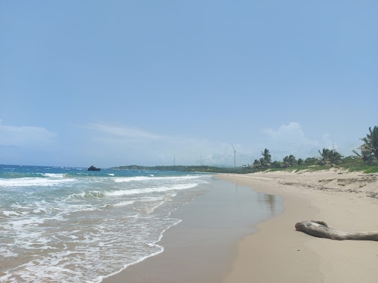Playa Guzmancito