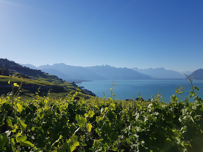 Rezensionen über Swiss WineArt WeinArt AG in Zürich - Spirituosengeschäft