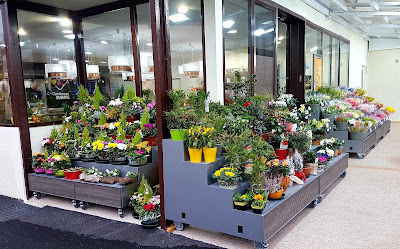 Carrément Fleurs - Fleuriste Thiers - Livraison de fleurs à domicile à Thiers