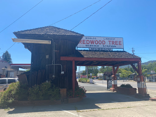 Auto Repair Shop «Redwood Tree Service Station», reviews and photos, 859 N State St, Ukiah, CA 95482, USA