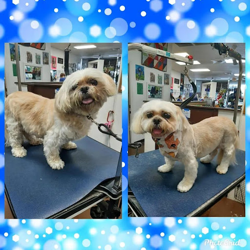 Pet Supply Store «Adogable PET SERVICES», reviews and photos, 4884 Sun City Center Blvd, Sun City Center, FL 33573, USA