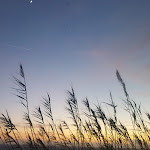 Photo n°7 de l'avis de Giovanni.i fait le 29/01/2020 à 17:22 sur le  O Pôr Do Sol 21 à Acquappesa