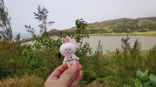 Top 20 cửa hàng akemi Huyện Lý Sơn Quảng Ngãi 2022