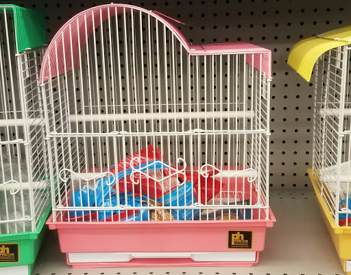 Pet Supply Store «Petland Discounts - Sutphin Blvd», reviews and photos, 147-17 Jamaica Ave, Jamaica, NY 11435, USA