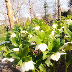 Photo n°4 de l'avis de Andi.. fait le 14/03/2022 à 01:29 sur le  Gut Heidefeld à Bocholt