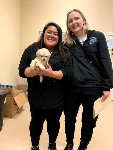 1 Love Dog Rescue image