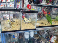 Abe's Pet Place - Photo 6 - Car repair in San Bernardino, CA, Los Angeles