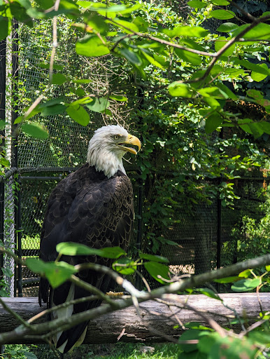 Nature Preserve «Chattahoochee Nature Center», reviews and photos, 9135 Willeo Rd, Roswell, GA 30075, USA