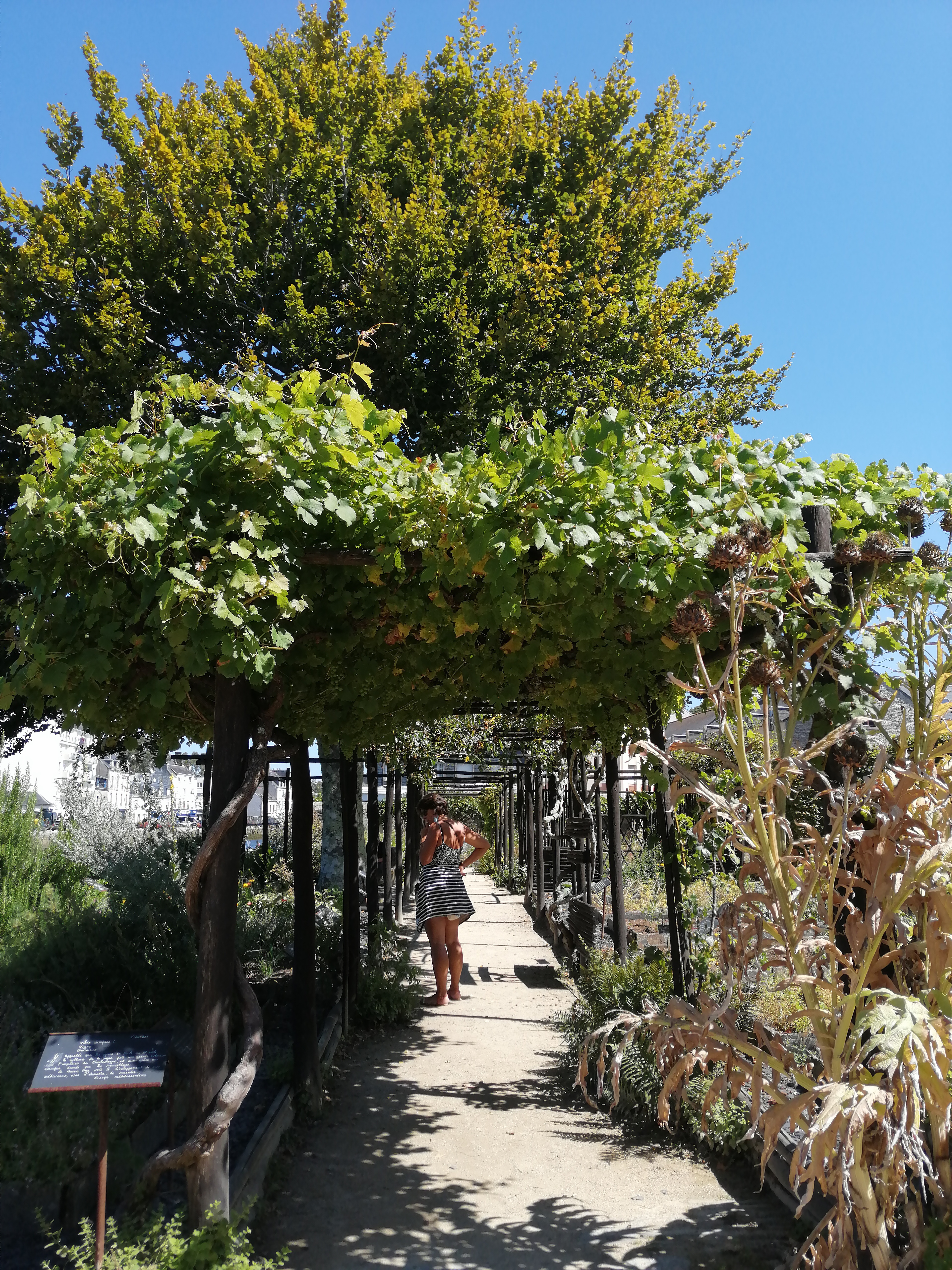 Photo n° 2 de l'avis de Marie-Fleur.e fait le 14/08/2021 à 13:17