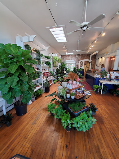 Florist «Fleur de Lis Fresh Flowers», reviews and photos, 516 Selby Ave, St Paul, MN 55102, USA