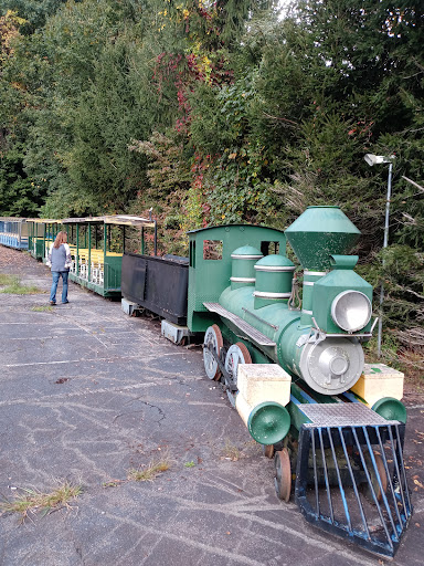 Amusement Center «Ghost Town In The Sky», reviews and photos, 16 Fie Top Rd, Maggie Valley, NC 28751, USA