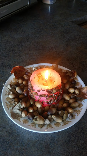 Auto Parts Store «NAPA Auto Parts - Nature Coast Auto Parts - Hudson», reviews and photos, 14717 US-19, Hudson, FL 34667, USA