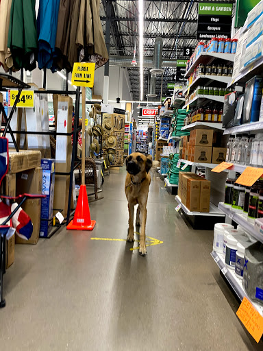Hardware Store «Ace Hardware», reviews and photos, 1450 W Horizon Ridge Pkwy #420, Henderson, NV 89012, USA