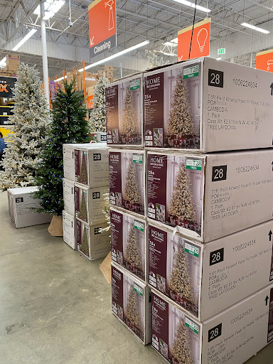 The Home Depot image