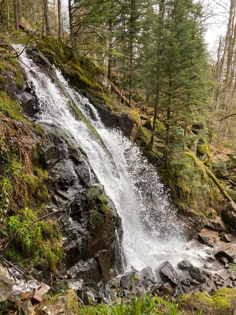 Photo n° 4 de l'avis de Arnaud.u fait le 19/04/2023 à 19:54
