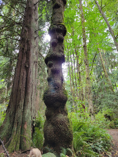 Park «Lord Hill Park», reviews and photos, 12921 150th St SE, Snohomish, WA 98290, USA