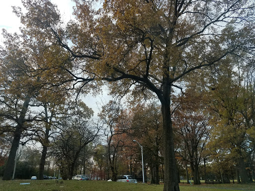 Park «Vailsburg Park», reviews and photos, 694-736 S Orange Ave, Newark, NJ 07106, USA