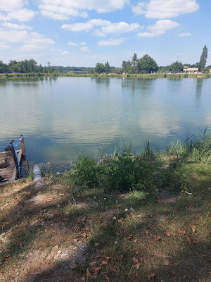 Lac des Vergnes à Laruscade