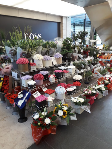 Reviews of MQ Flowers in Liverpool - Florist