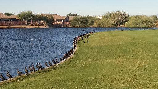 Golf Course «Seville Golf & Country Club», reviews and photos, 6683 S Clubhouse Dr, Gilbert, AZ 85298, USA