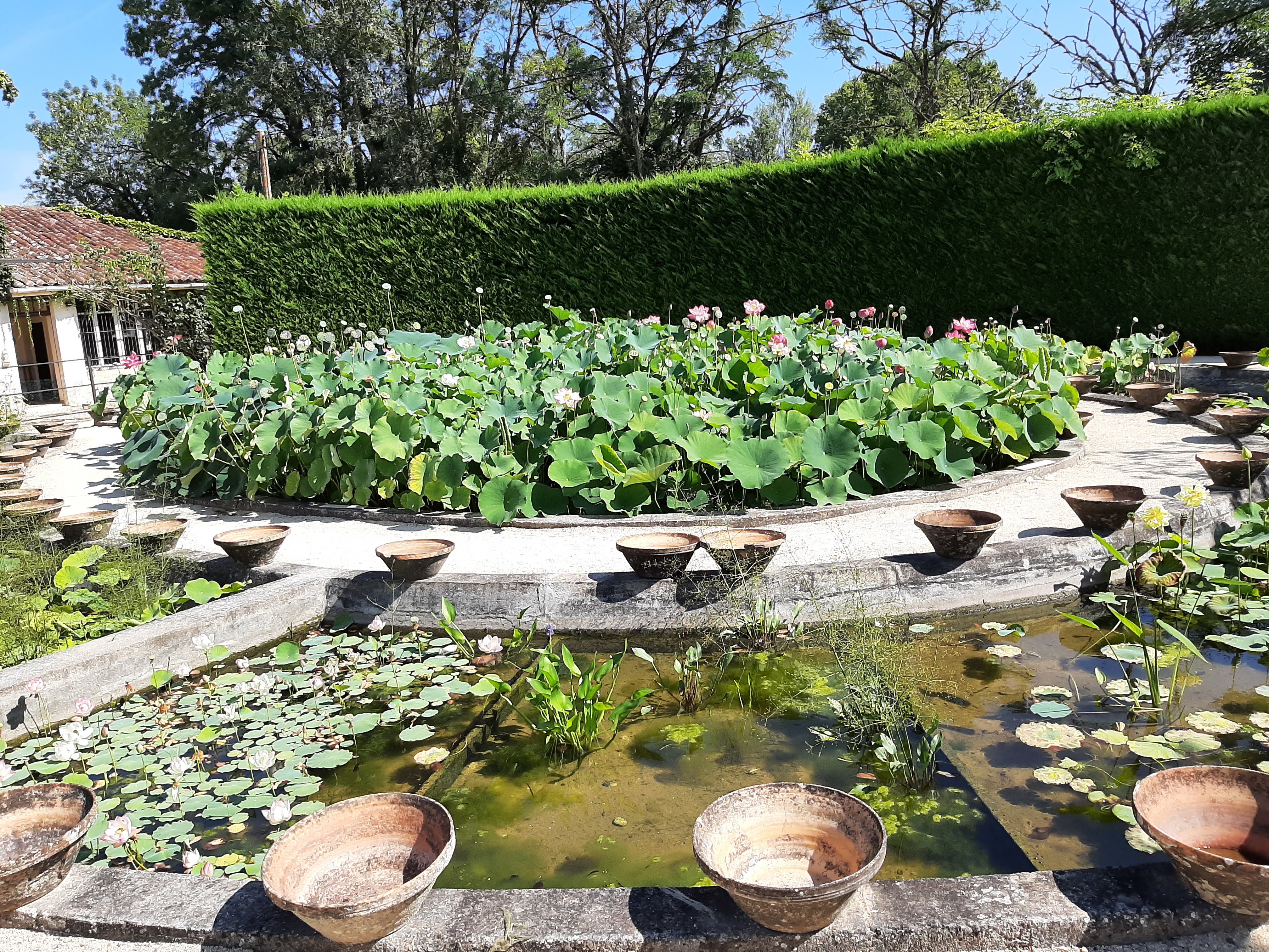 Photo n° 4 de l'avis de Stephane.e fait le 20/08/2021 à 11:09