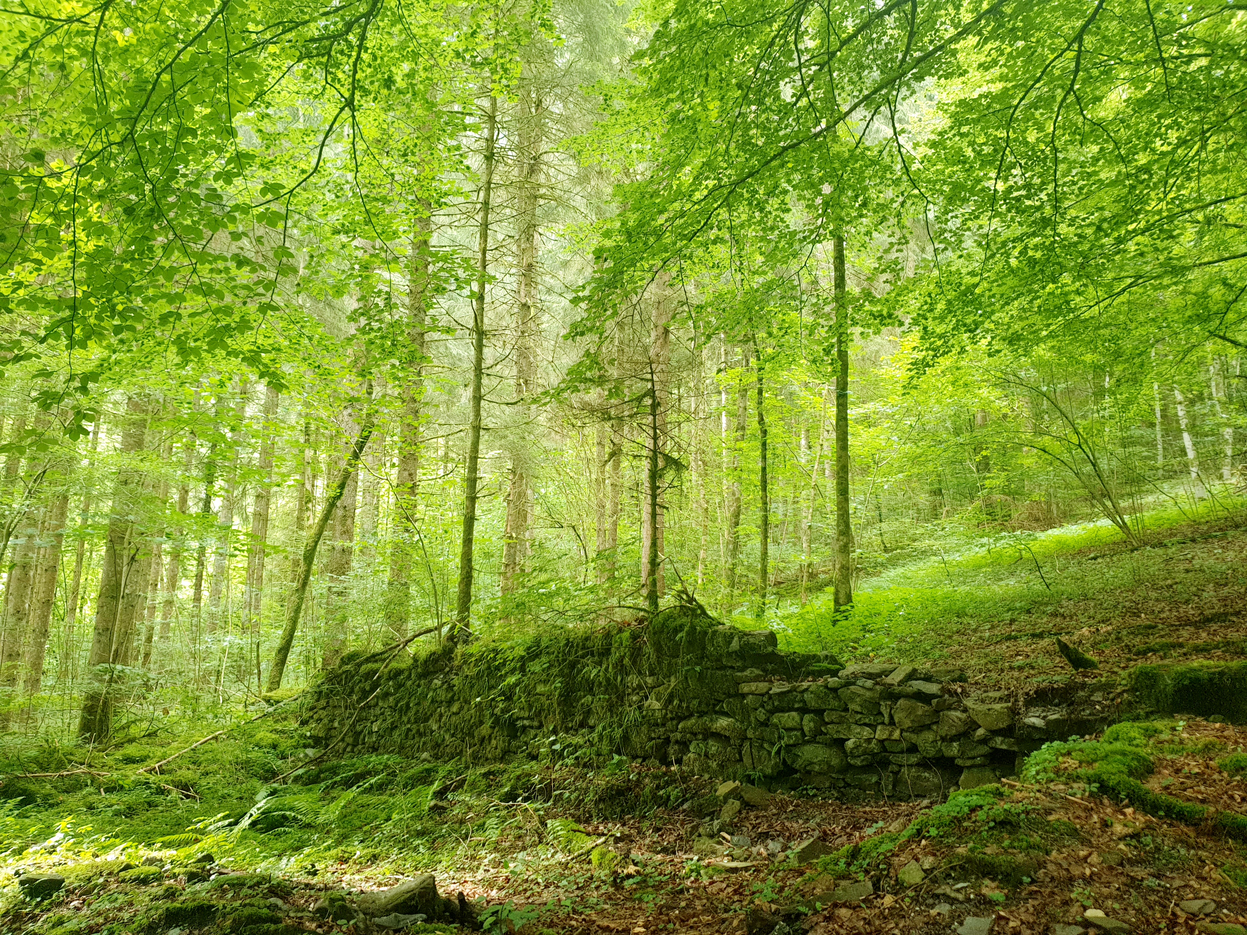 Photo n° 12 de l'avis de Gilles.H fait le 22/07/2020 à 15:28
