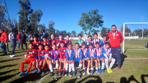 Club Deportivo Chivas Guadalajara