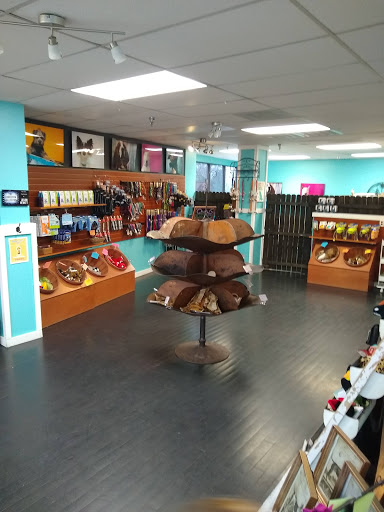 Dog Trainer «Dog Door Behavior Center and Outfitters», reviews and photos, 1 Battle Square A, Asheville, NC 28801, USA