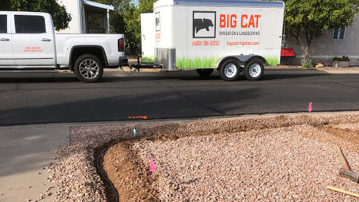 Big Cat Irrigation and Landscaping LLC
