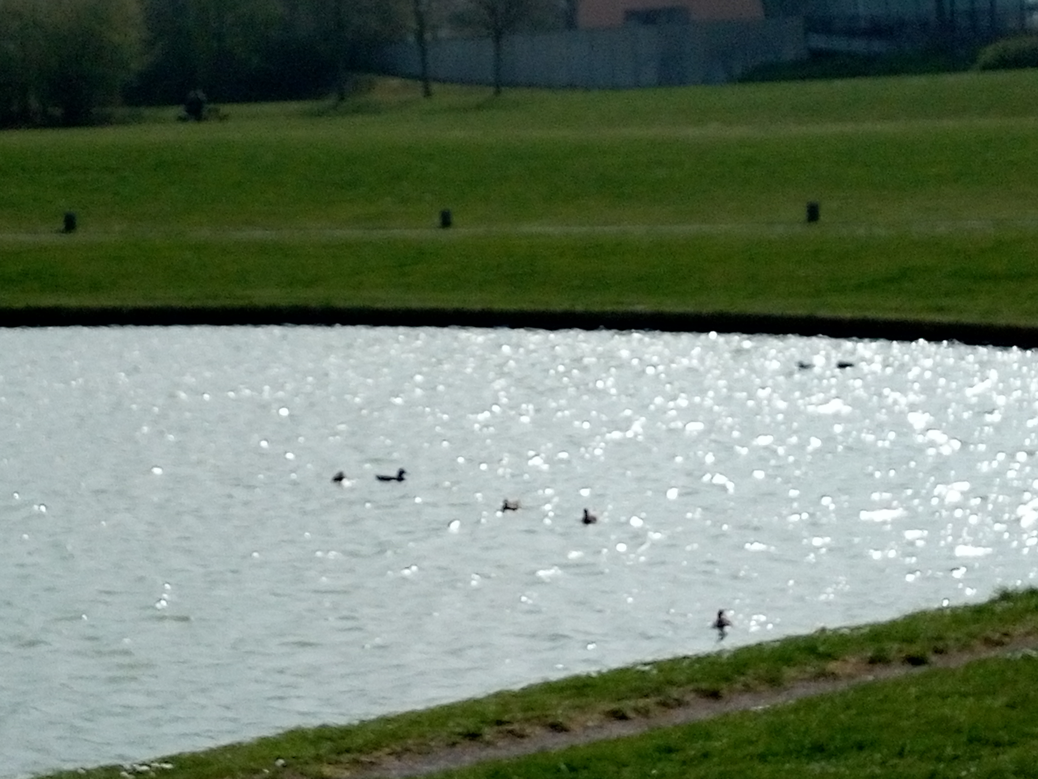 Photo n° 8 de l'avis de coralie.a fait le 11/05/2019 à 16:24