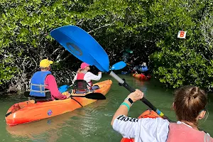 Caribbean Kayaking Tours image