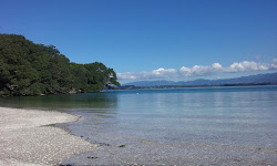 Shelly Bay'in fotoğrafı biraz temiz temizlik seviyesi ile