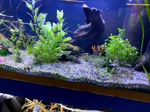 Pet Store «Fish Bowl Aquarium & Pet Mart», reviews and photos, 725 Providence St, West Warwick, RI 02893, USA