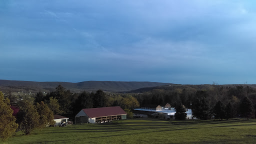 Golf Course «Rolling Pines Golf Course & Banquet Facility», reviews and photos, 335 Golf Course Rd, Berwick, PA 18603, USA