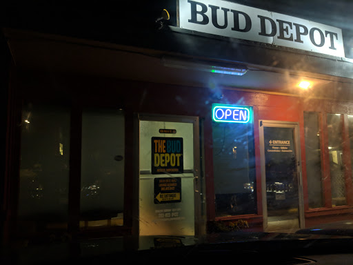 Florist «The Bud Depot», reviews and photos, 138 E Main St, Lyons, CO 80540, USA