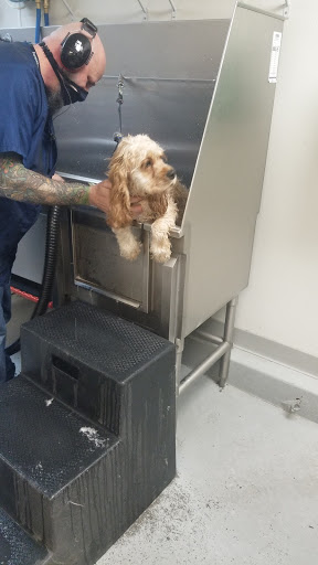 Animal Feed Store «Wilco Farm Store», reviews and photos, 200 S Kelso Dr, Kelso, WA 98626, USA