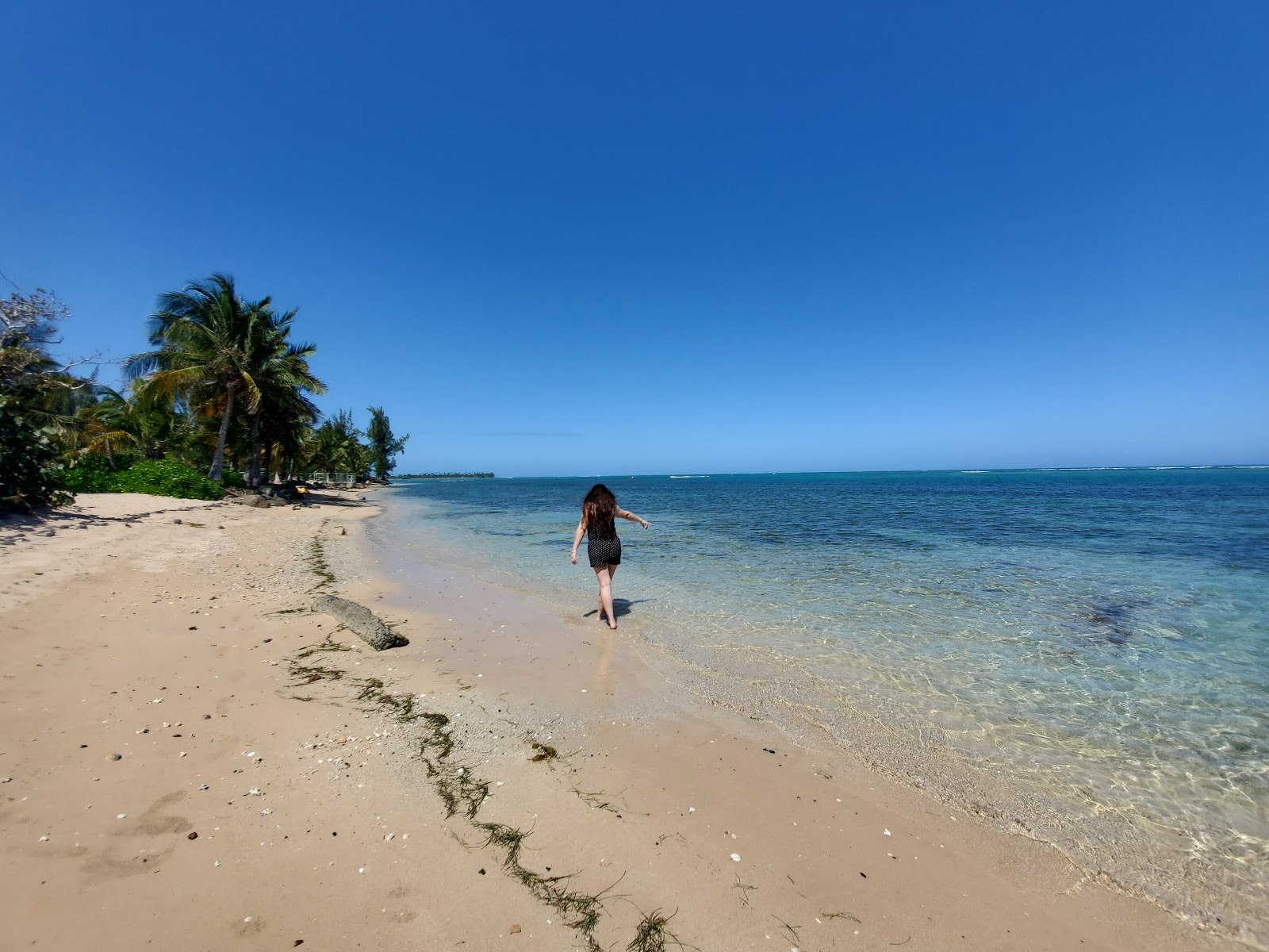 Fotografie cu Playa las Picuas - locul popular printre cunoscătorii de relaxare