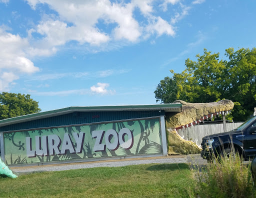 Zoo «Luray Zoo A Rescue Zoo», reviews and photos, 1087 U.S. 211, Luray, VA 22835, USA