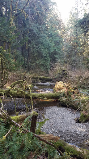 Performing Arts Theater «Kitsap Forest Theater», reviews and photos, 3000 Seabeck Hwy NW, Bremerton, WA 98312, USA