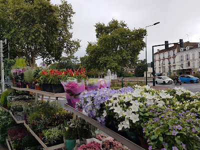 Monceau Fleurs à Le Vésinet