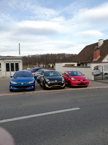 Rezensionen über Dorfgarage Top Car GmbH in Wettingen - Autowerkstatt
