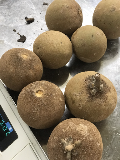 Grocery Store «D & L Groceries Inc», reviews and photos, 1005 Genesee St, Rochester, NY 14611, USA