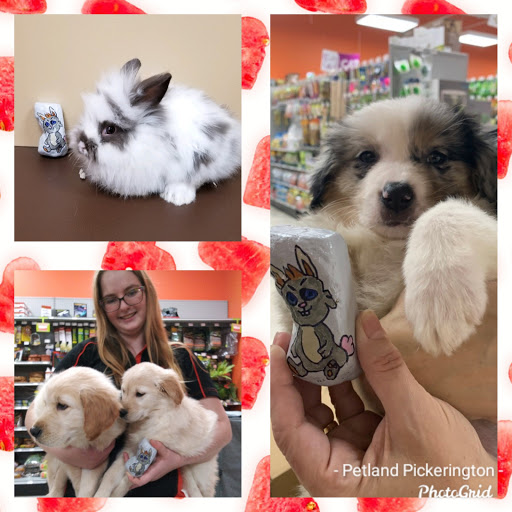 Pet Store «Petland», reviews and photos, 1514 Stonecreek Dr, Pickerington, OH 43147, USA