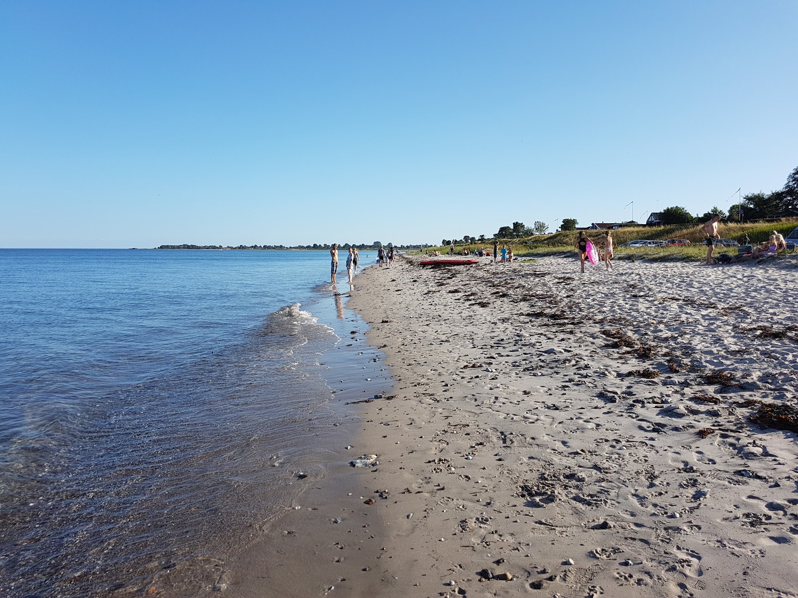 Foto di Ajstrup Beach con parzialmente pulito livello di pulizia