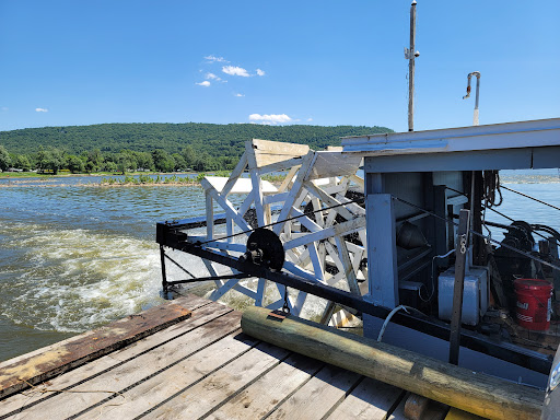 Ferry Service «Millersburg Ferry», reviews and photos, River St, Millersburg, PA 17061, USA