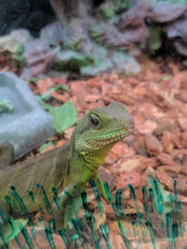 Pet Supply Store «Petco Animal Supplies», reviews and photos, 911 N Stratford Rd c, Moses Lake, WA 98837, USA