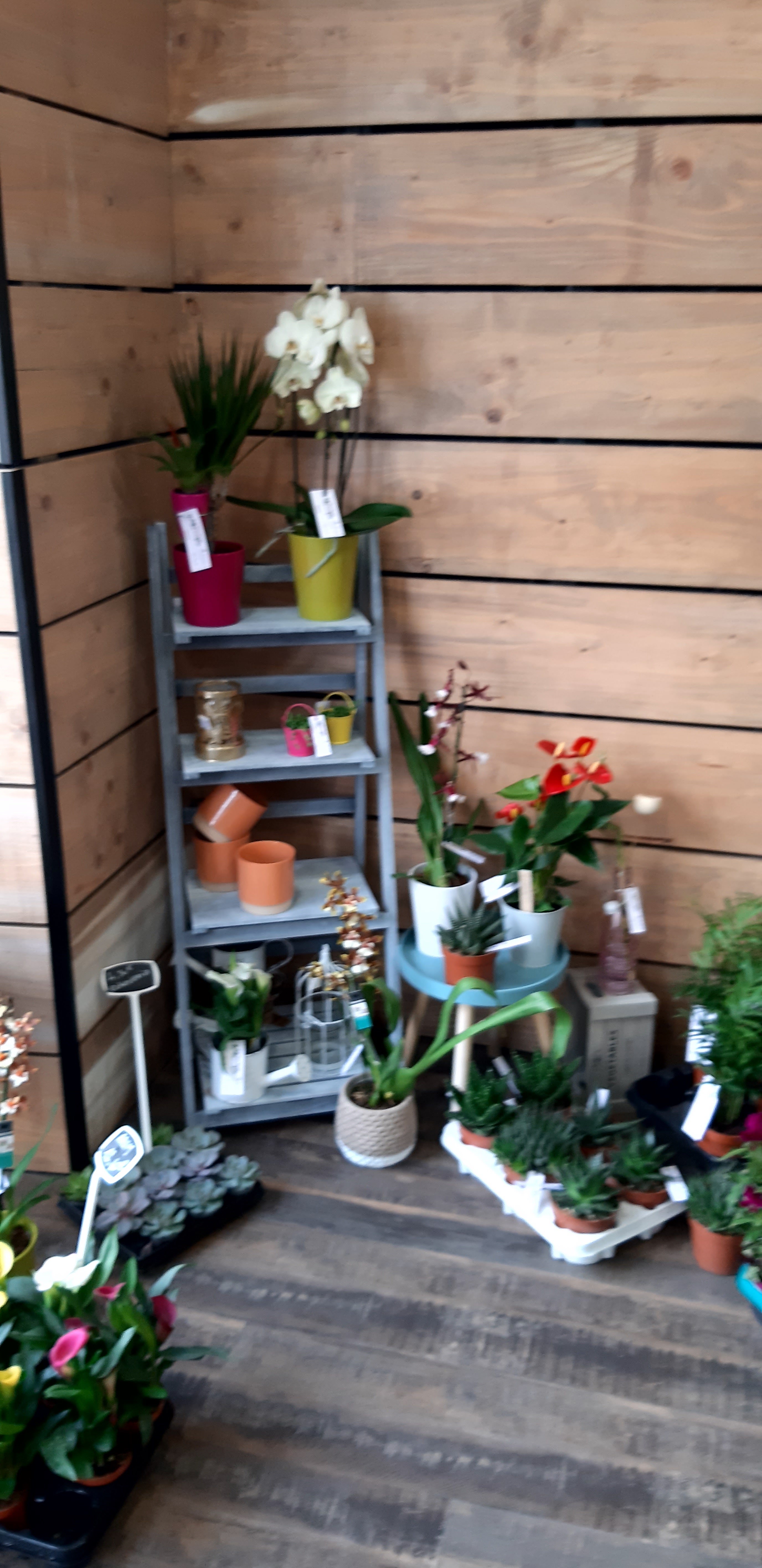 Photo n° 7 de l'avis de Sandra.a fait le 16/05/2021 à 15:43