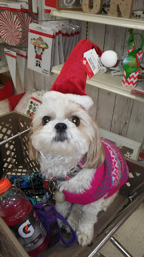 Craft Store «Michaels», reviews and photos, 1050 Hanes Mall Blvd, Winston-Salem, NC 27103, USA