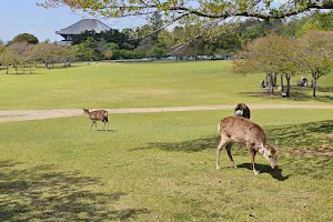 Kasuganoenchi image