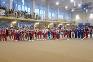 Sportivnaya Shkola Olimpiyskogo Rezerva Po Sportivnoy Gimnastike image